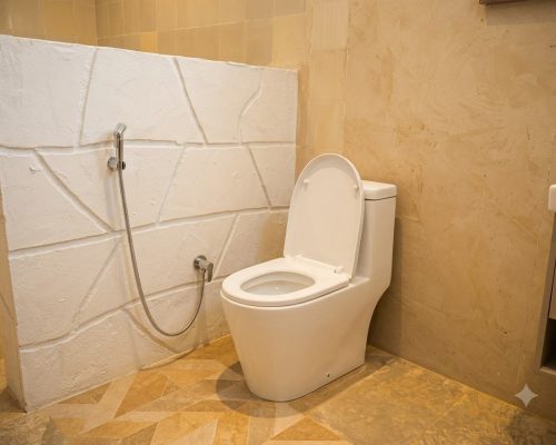 Deluxe Room (7)